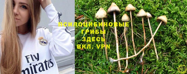 кокаин Белокуриха
