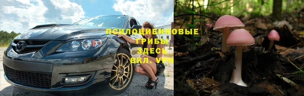амф Белоозёрский