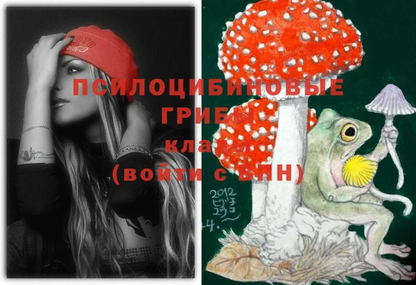 амф Белоозёрский